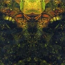 House Of Low Culture - Edward's Lament! - CD image 1