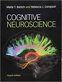 Cognitive Neuroscience