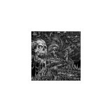 HAUNTING PRESENCE -  - Vinyl Record MLP image 2
