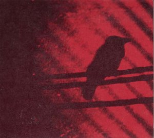 SILVER MT. ZION - BORN INTO TROUBLE AS THE SPARK - Vinyl Record VL image 1
