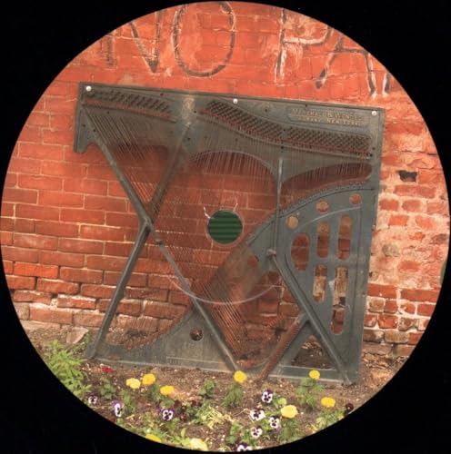 YOU YOURE AHISTORY I - DO MAKE SAY THINK - Vinyl Record VL image 4