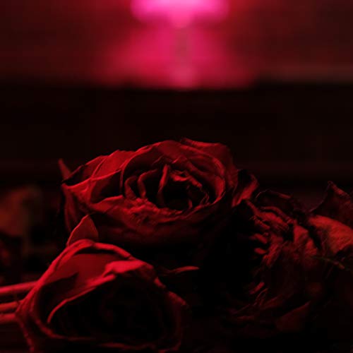 Roses - Vinyl Record image 1