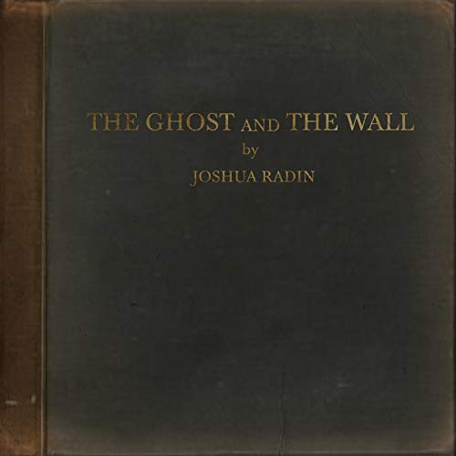 Ghost and the Wall - Vinyl Record image 1