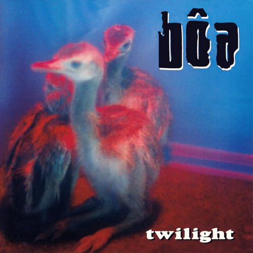 boa - Twilight - Vinyl Record image 1