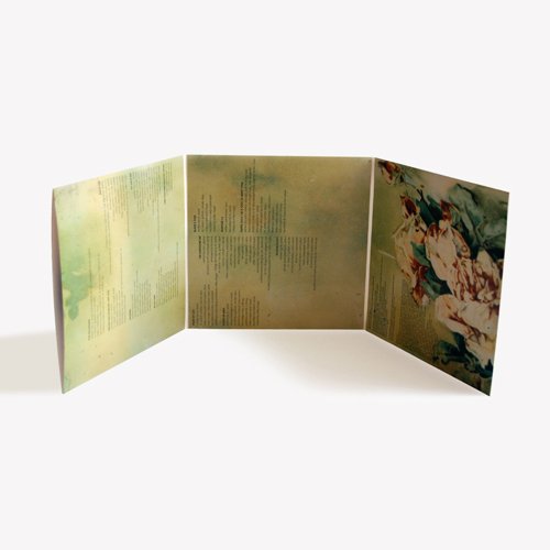 M. WARD - HOLD TIME - Vinyl Record image 4