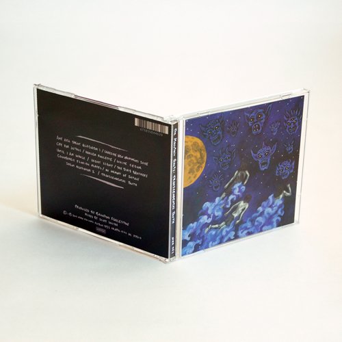 MOUNTAIN GOATS - TRANSCENDENTAL YOUTH - CD image 4