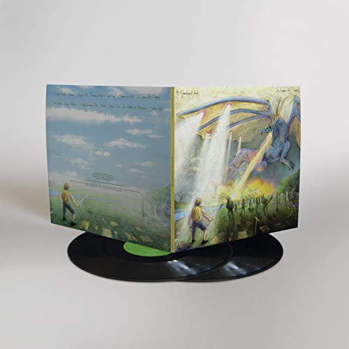 MOUNTAIN GOATS - IN LEAGUE WITH DRAGONS - Vinyl Record VL image 2