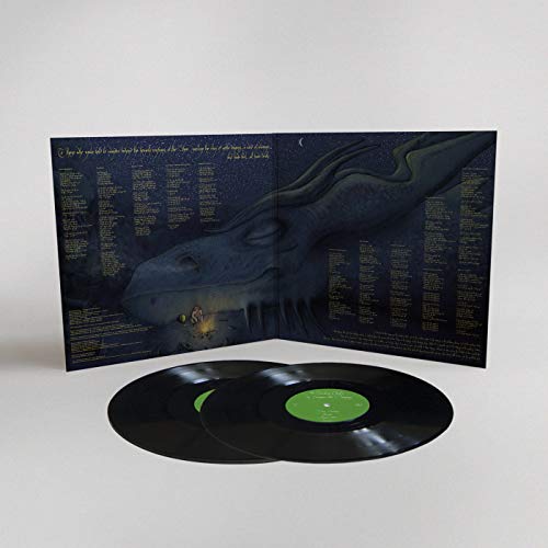 MOUNTAIN GOATS - IN LEAGUE WITH DRAGONS - Vinyl Record VL image 4