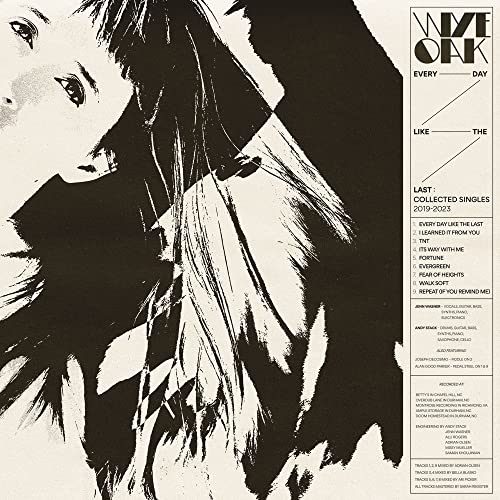 WYE OAK - EVERY DAY LIKE THE LAST : COLLECTED SINGLES 20 - Vinyl Reco image 1