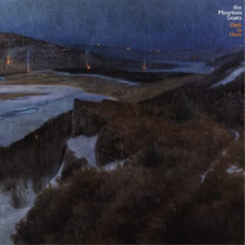 MOUNTAIN GOATS - DARK IN HERE - Vinyl Record vl image 1