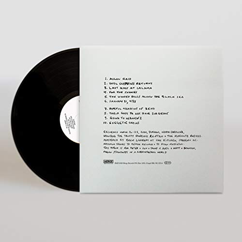MOUNTAIN GOATS - SONGS FOR PIERRE CHUVIN - Vinyl Record VL image 3