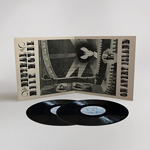 NEUTRAL MILK HOTEL - VINYL BOX SET - Vinyl Record VL image 6