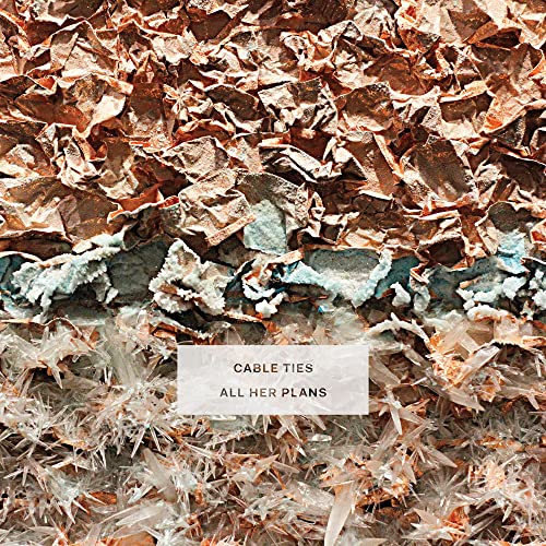 CABLE TIES - ALL HER PLANS - Vinyl Record VL image 1