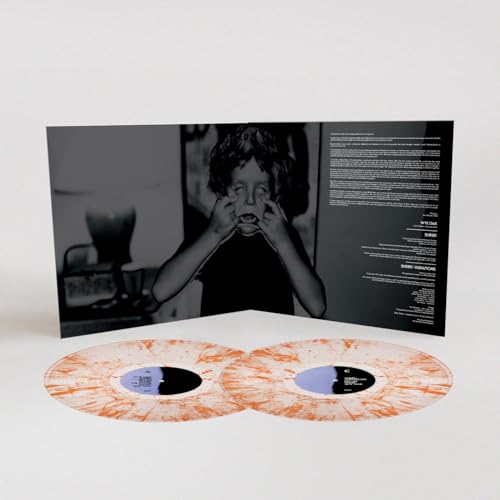 Wye Oak - Shriek + Variations (Coloured Vinyl) LP  RELEASE DATE 22/03 image 2
