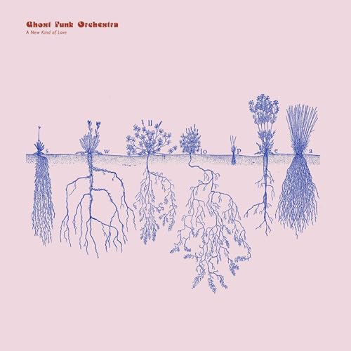 GHOST FUNK ORCHESTRA - NEW KIND OF LOVE - CD image 1