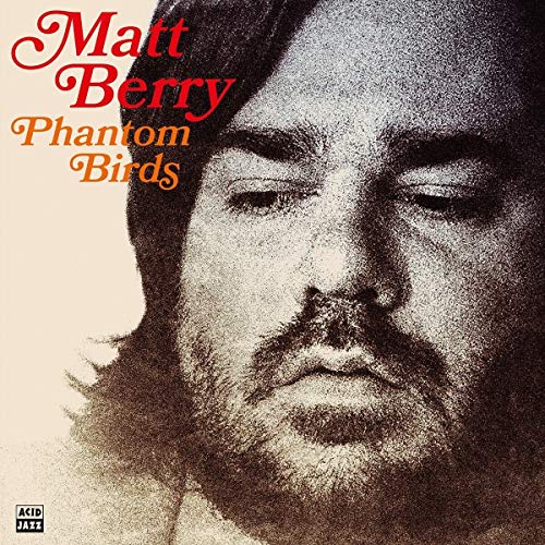 MATT BERRY - PHANTOM BIRDS - Vinyl Record 12" RECORD image 1