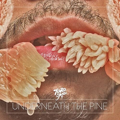 Toro Y Moi - Underneath The Pine - CD image 1