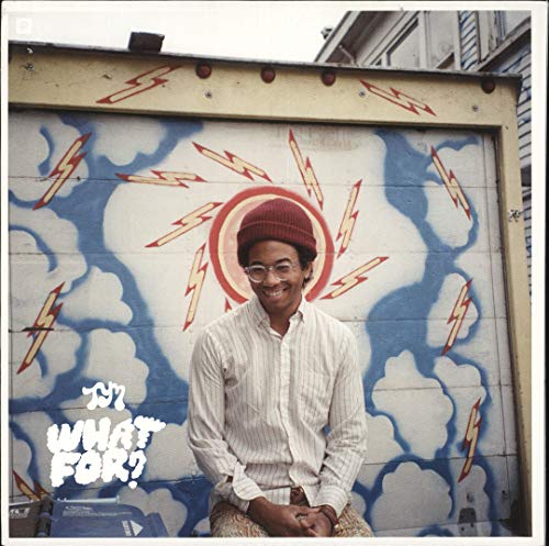 Toro Y Moi - What For? - Vinyl Record image 1