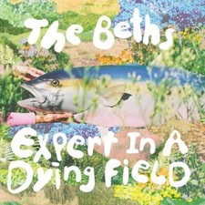 BETHS - EXPERT IN A DYING FIELD - CD image 1
