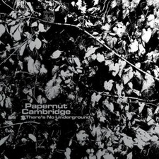 Papernut Cambridge - re's No Underground - Vinyl Record 7 image 1