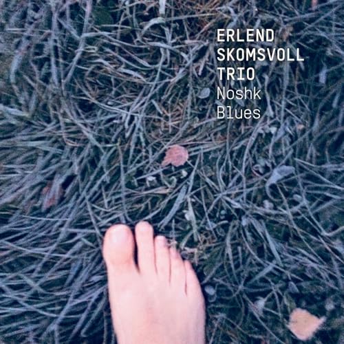 Erlend Skomsvoll Tri - Noshk Blues - CD image 1