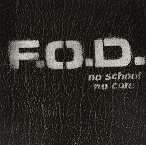 Flag of Democracy - No School No Core - Vinyl Record Vinyl image 1