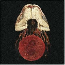 VOIDGAZER / RITUALS OF EXTINCTION - CD image 1