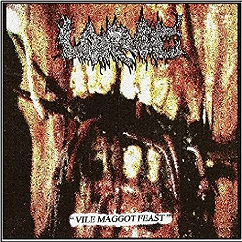LARVAE - VILE MAGGOT FEAST - CD image 1