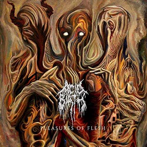 ACID BIRTH - PLEASURES OF FLESH / THE DIVINE GROTESQUE - CD image 1