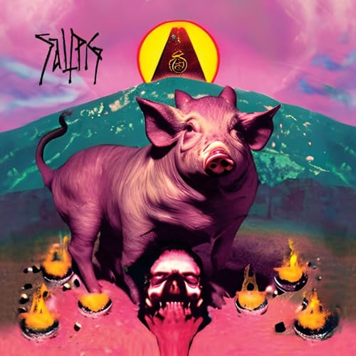SALTPIG - CDD image 1