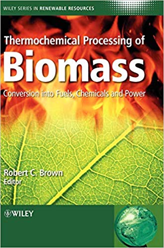 Thermochemical Processing of Biomass : Conversion into Fuels, Chemicals and Power