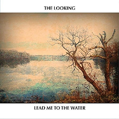 Looking - Lead Me To The Water - CD image 1