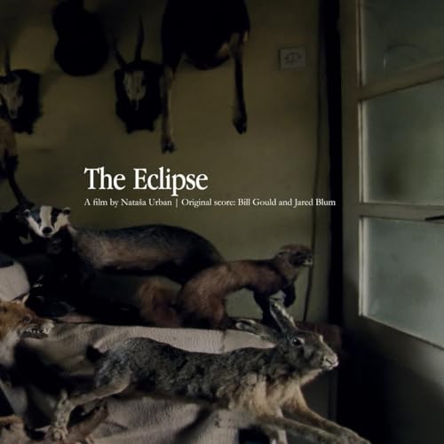 Bill Gould / Jared B - Eclipse - Vinyl Record image 1