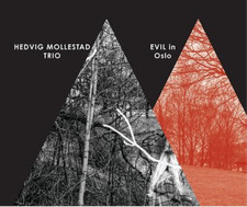 Hedvig Mollestad - Hedvig Mollestad LP - Vinyl Record image 1