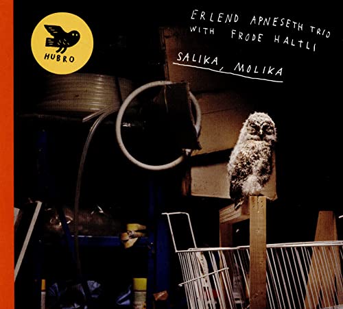 Erlend Apneseth Trio - Salika, Molika - Used CD image 1