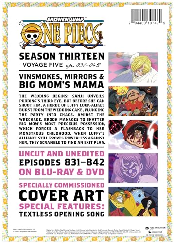 ONE PIECE SEASON 13 - BLUR image 3