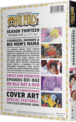 ONE PIECE SEASON 13 - BLUR image 4