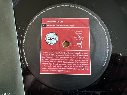 Billie Ray Martin - Imitation Of Life - Used Vinyl 12" image 2