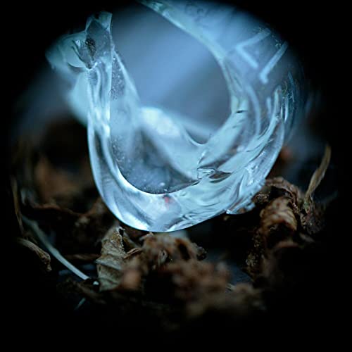 Ossicles - Mantelpiece - CD image 1