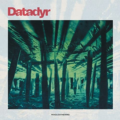 DATADYR - WOOLGATHERING - CD image 1