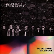 AKSEL RØED’S OTHE - DO YOU DREAM IN COLOURS? - Vinyl Record image 1