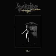 NULL (BLACK/GOLD VINYL) - Vinyl Record image 1