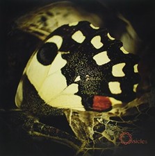 OSSICLES - MUSIC FOR WASTELANDS - Vinyl Record image 1