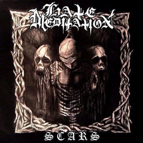 HATE MEDITATION - SCARS - Vinyl Record image 1