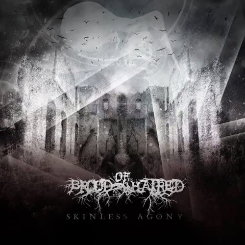 Brood Of Hatred - Skinless Agony - CD image 1