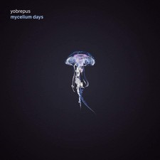 MYCELIUM DAYS - CD image 1