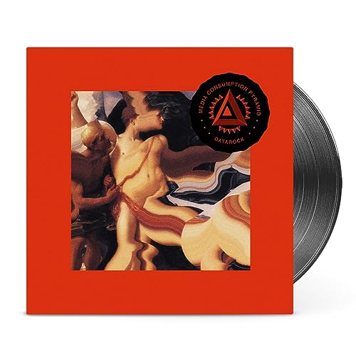 DATAROCK - MEDIA CONSUMPTION PYRAMID - Vinyl Record image 1