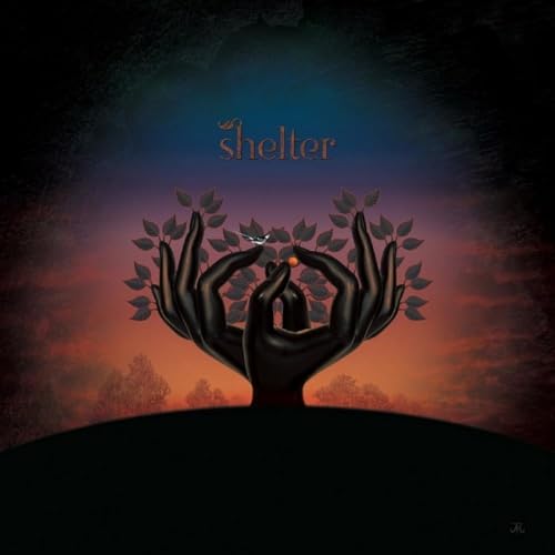 LAUGHING STOCK - SHELTER - CD image 1