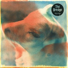 DREDGE - TORCHES - Vinyl Record image 1