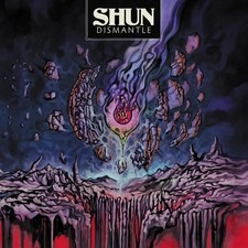 SHUN - DISMANTLE - CD image 1